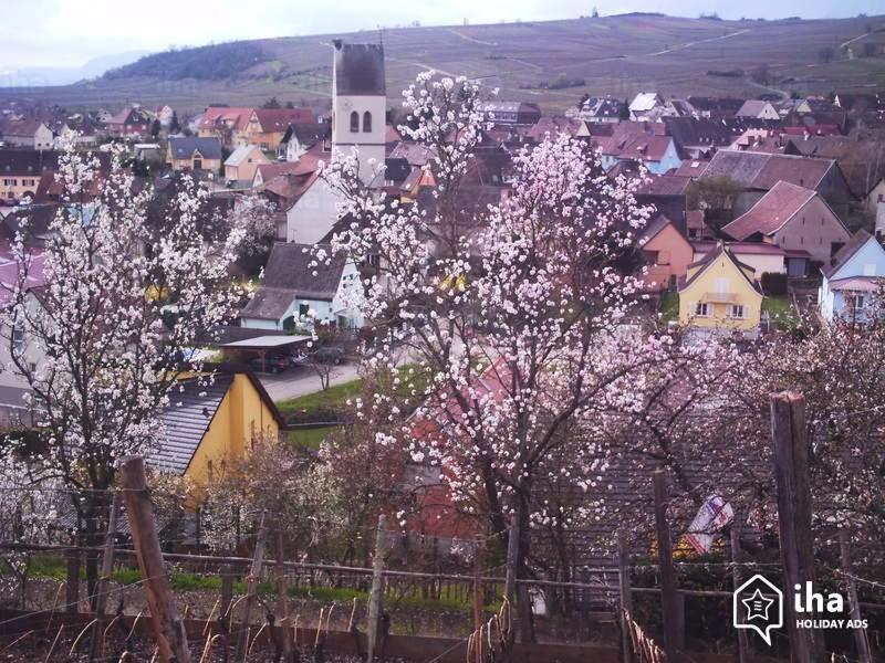 "Les Amandiers" Mittelwihr Exteriér fotografie